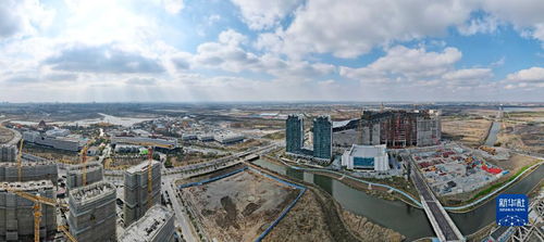 上海自貿區臨港新片區新春建設忙