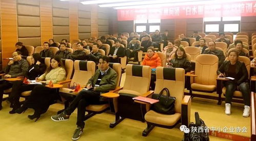 陜西省中小企業(yè)專家顧問(wèn)團(tuán)白水服務(wù)行 公益培訓(xùn)助力企業(yè)顧問(wèn)效能提升